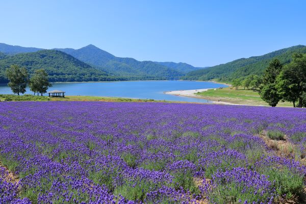 かなやま湖